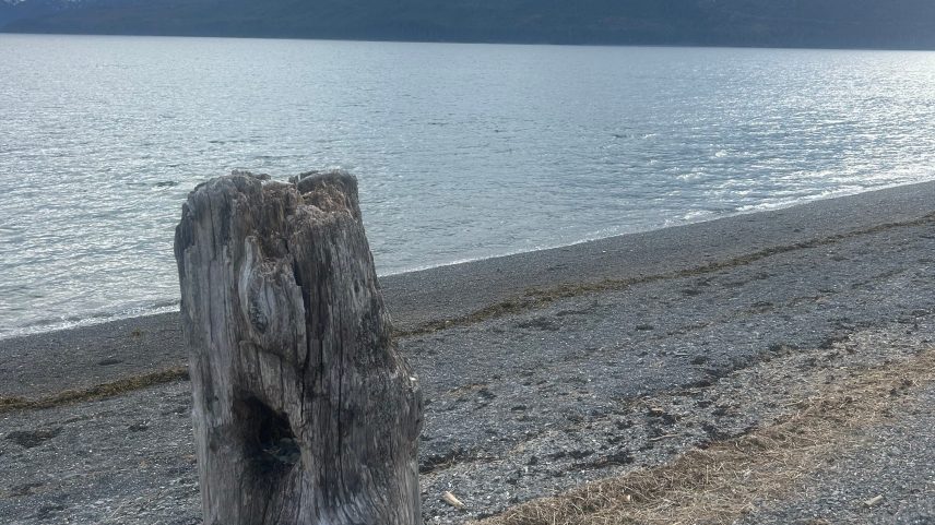 Icy Strait Point shoreline.
