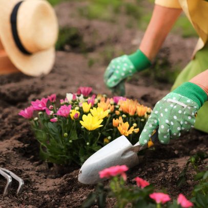 Ferimentos por jardinagem aumentam na primavera; como retornar com segurança
