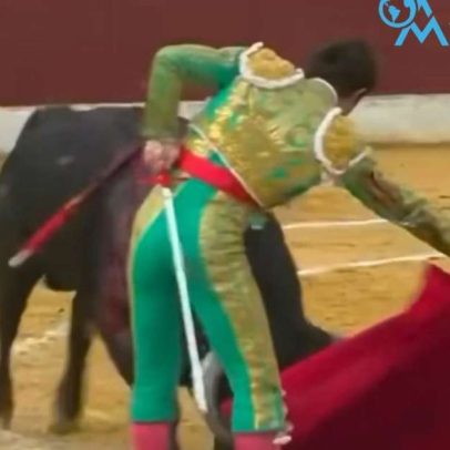 Toureiro é ferido por chifre de touro em evento na Espanha