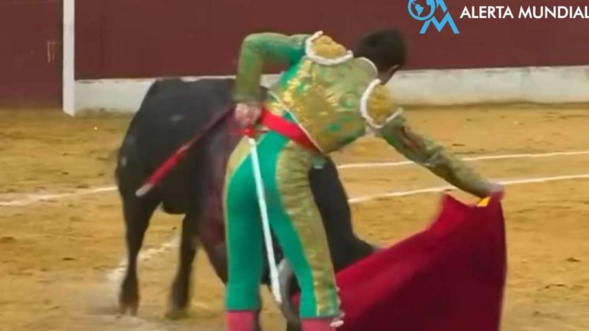 Saiba detalhes do grave acidente com o toureiro Albert Durán na Espanha. Ele foi ferido na área genital, passou por duas cirurgias e está estável