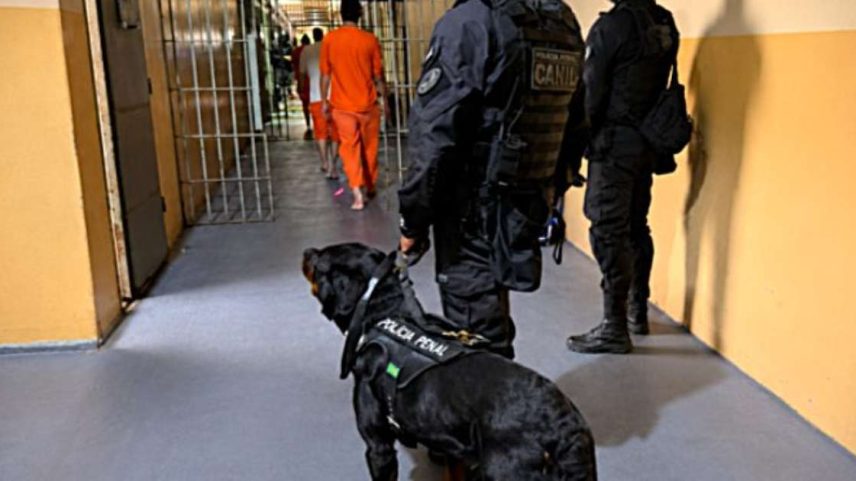 Foto: Divulgação/Polícia Penal / Porto Alegre 24 horas
