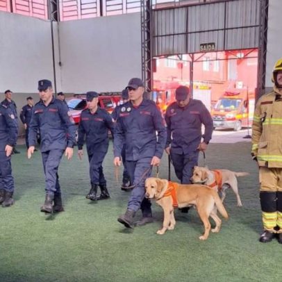 Bombeiros simulam resgate com cães e reforçam estrutura no RS