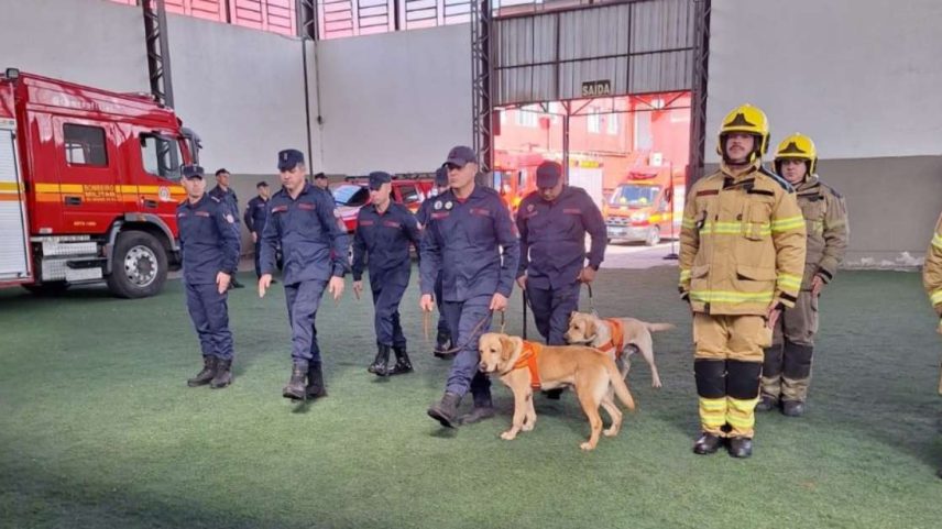 Foto: Gov RS / Porto Alegre 24 horas