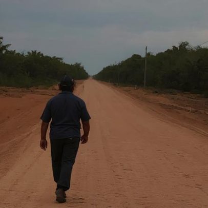 BR-319: pavimentação na Amazônia gera controvérsia