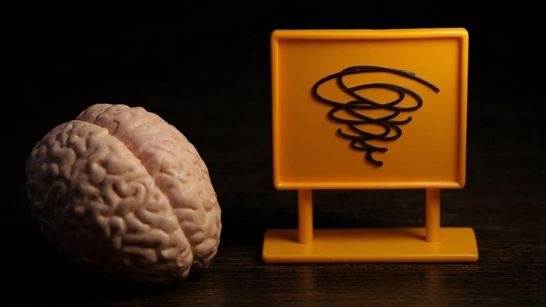 Sob estresse, áreas ligadas à reflexão, planejamento e análise racional perdem espaço para respostas automáticas e emocionais