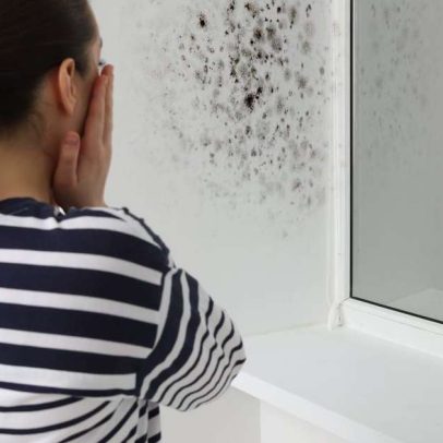 Mofo em casa pode causar doenças respiratórias, dizem especialistas