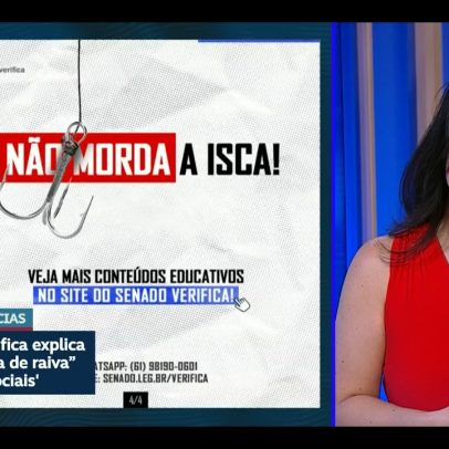 Senado Verifica explica o rage bait e orienta evitar raiva nas redes