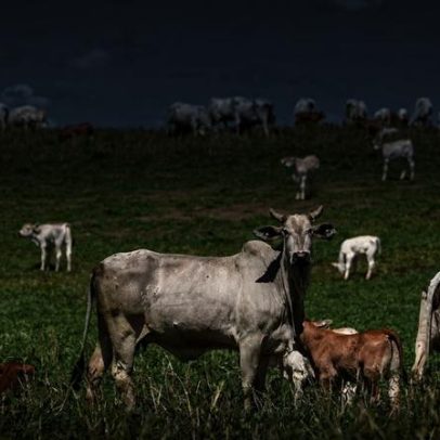 Brasil fica fora da lista da UE para exportação de carne e derivados
