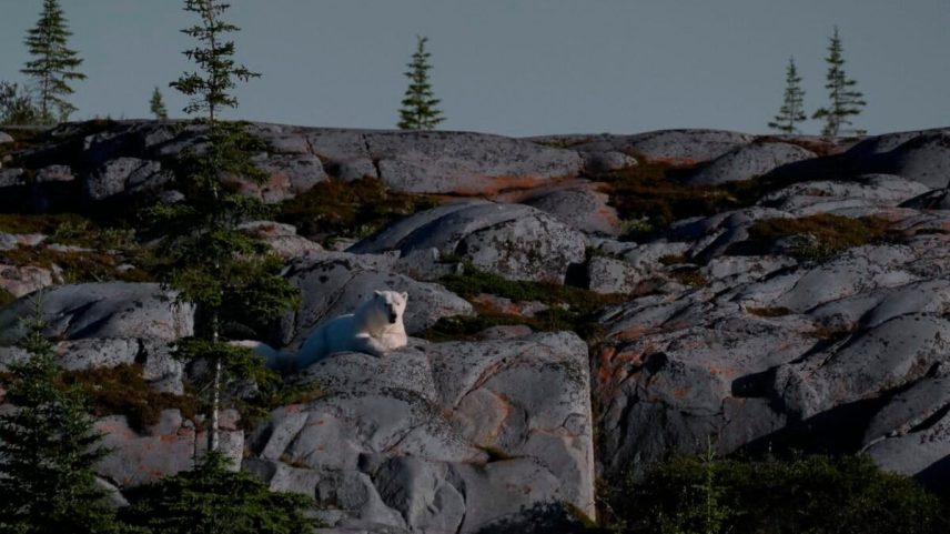 Canada mira dobrar rede elétrica até 2050 com energia limpa e tarifas menores