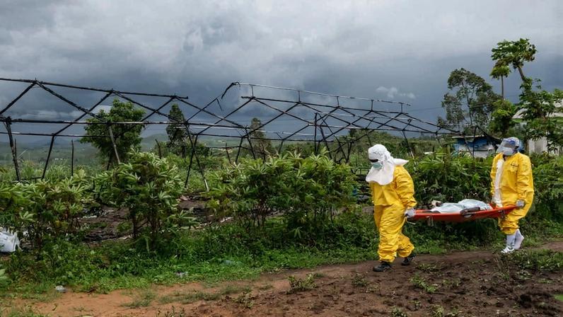 Ebola atinge grandes cidades da RDC e Uganda, temores de expansão regional