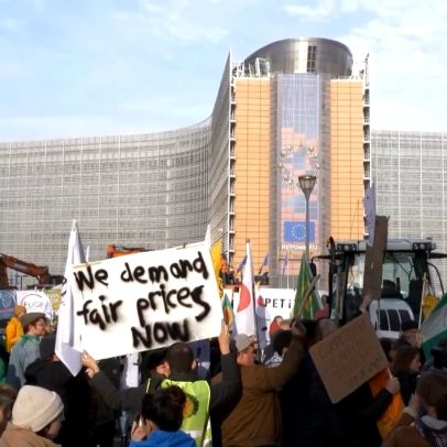Professor aponta relação entre veto de carnes e acordo Mercosul/UE