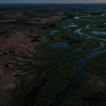 Rio que cruza a África de ponta a ponta forma um dos deltas mais ricos do mundo