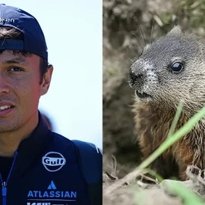 F1: Albon sofre acidente ao atropelar marmota no Canadá e fica fora da sprint