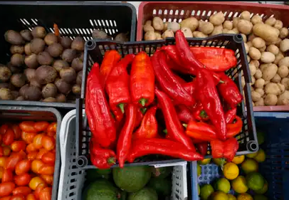 Gasolina reduz IPCA, mas inflação pressiona teto com alimentos e serviços