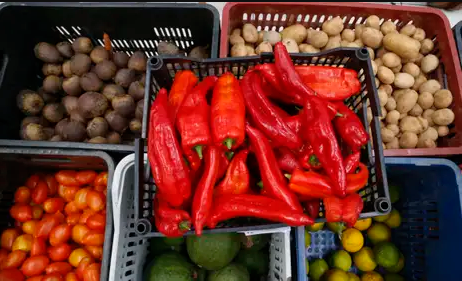 Alimentos (Foto: Paulo Pinto/ Agência Brasil)