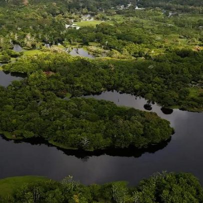 Governo libera R$ 150 milhões do Fundo Amazônia para pesquisas