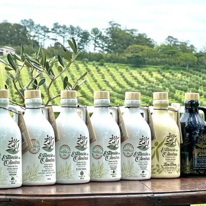 Fazenda brasileira produz o azeite mais premiado do mundo