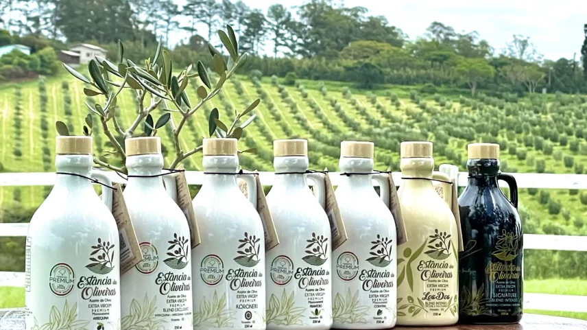 Rótulos da Estância das Oliveiras, produzidos em Viamão (RS): fazenda acumula mais de 250 prêmios internacionais. (Foto: Divulgação/Estância das Oliveiras)
