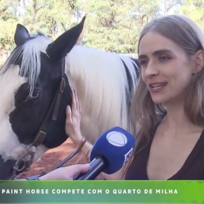 Agro Record: atualizações do Bloco 01 em 10/05/26