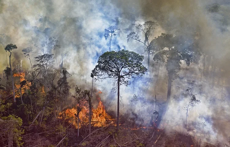 O estudo sugere que a derrubada da floresta interfere diretamente no funcionamento climático da Amazônia (Carl de Souza/AFP)