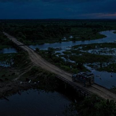 Pantanal: rodovia de terra com 120 pontes em 147 km para observação de fauna