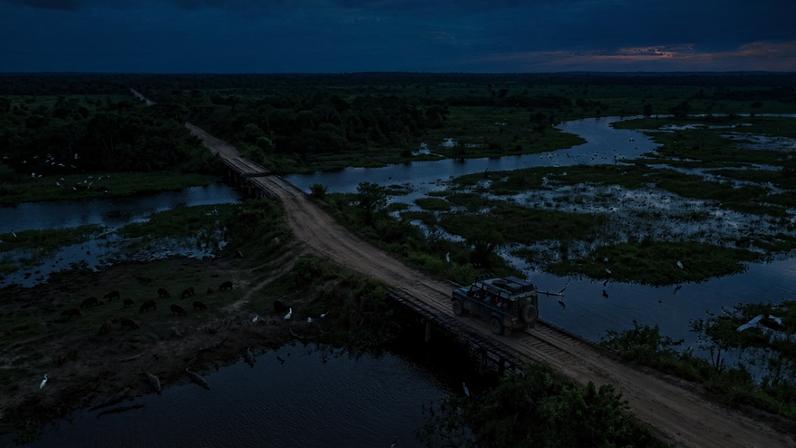 Rodovia de terra com dezenas de pontes de madeira atravessando o ecossistema do Pantanal – Créditos: depositphotos.com / elleonzebon