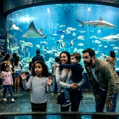 Aquário antigo do Brasil se torna referência em vida marinha na costa paulista