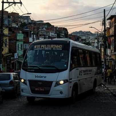 Micro-ônibus em ruas estreitas vira solução para bairros e fretado