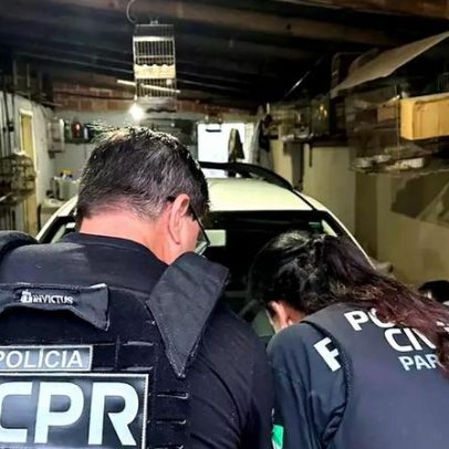 Operação investiga criminosos ligados ao tráfico de animais silvestres no Brasil