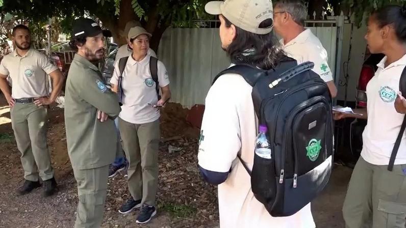 Imagem relacionada ao mutirão contra a dengue em Foz do Iguaçu