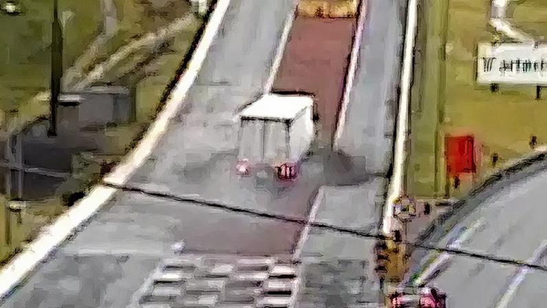 Carreta com 27 toneladas de frango usa área de escape na BR 376
