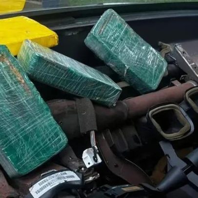 PM-PR: cães farejadores localizam mais de 20 kg de cocaína em veículo