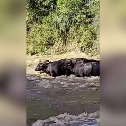 Sete turistas ficam ilhados após tromba d’água no PR, vídeo