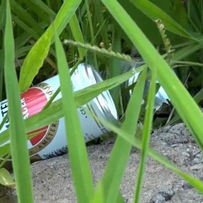 Cascavel amplia fiscalização de lixo e mato em baldios contra dengue