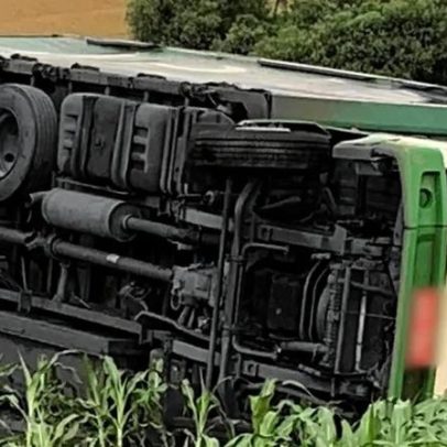 Caminhão tomba em plantação de milho na BR-163