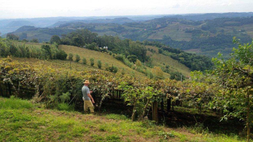 Agricultor da zona rural de Bento Gonçalves. Município reduziu beneficiários do Bolsa Família com emprego (Foto: Daniel Isaia/Agência Brasil)