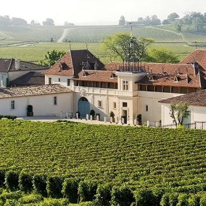 Família centenária transforma vinícola francesa em referência no agro de luxo