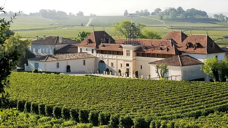 O Château Angelus de Bordéus continua a olhar para o futuro