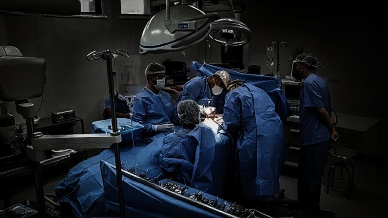 Número de transplante de órgãos bate recorde no Brasil