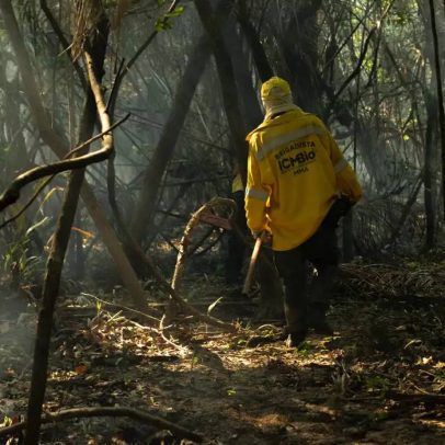 STF cobra da União plano de combate a incêndios por risco de Super El Niño