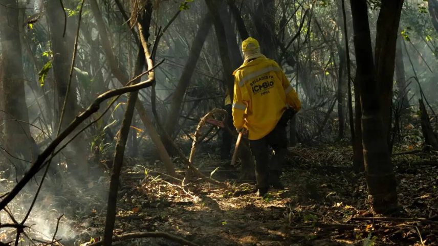 Brigadista atuando em incêndio na Amazônia (Foto: Agência Santarém)