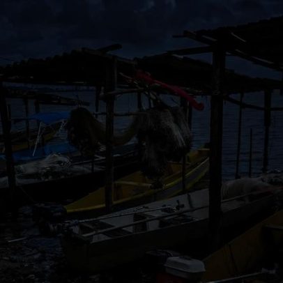 Cancelamentos de registros de pescadores sobem mais de sete vezes desde 2021