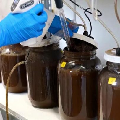 Urina humana vira adubo ecológico com eficácia semelhante a fertilizantes