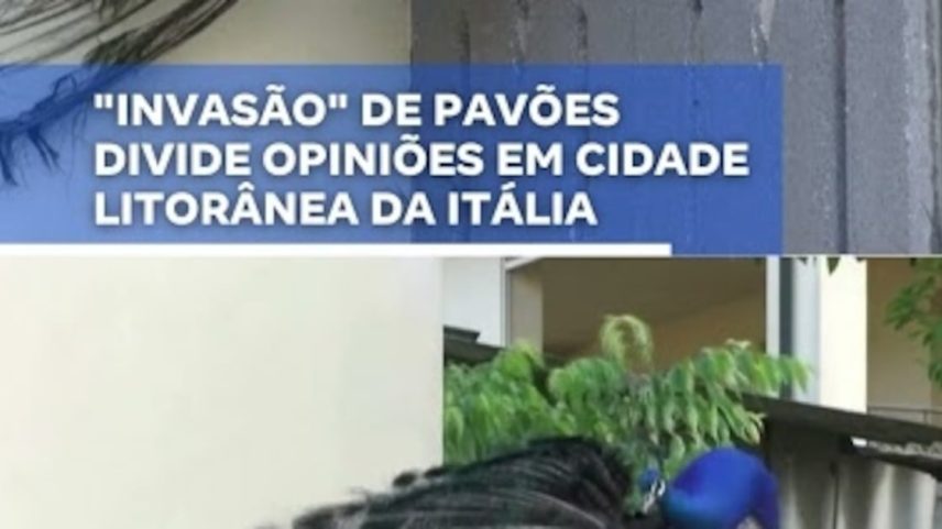 Reprodução canal do Youtube Record News