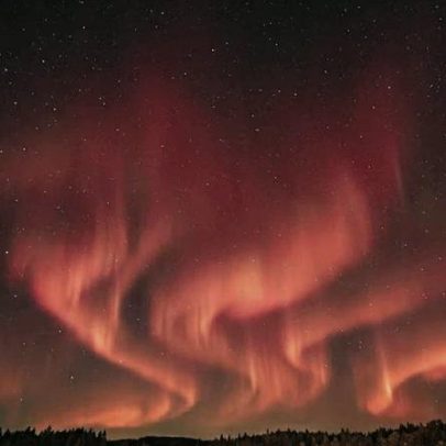 Tempestade solar de 800 anos deixa sinais em árvores no Japão