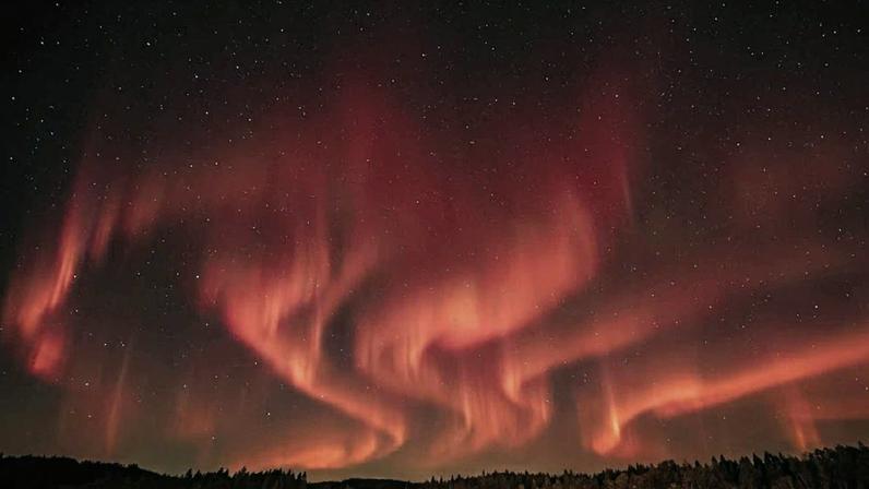 Tempestade solar de 800 anos deixa sinais em árvores no Japão