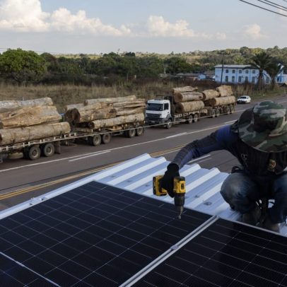Instalação de painéis solares na Amazônia e desmatamento, foto da semana