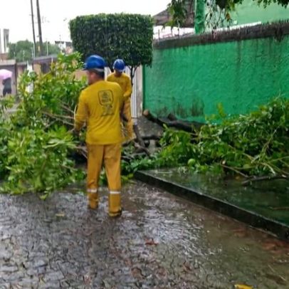 Chuvas em Pernambuco deixam 4 mortos e quase 1.5 mil desabrigados