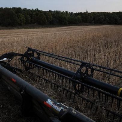 China promete compras agrícolas dos EUA, mas sem detalhes afeta soja e algodão