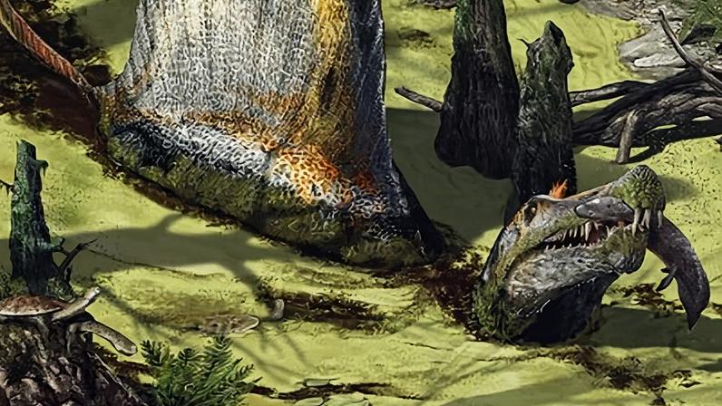 A pesquisa, publicada na revista Historical Biology, analisou fósseis de diferentes espécies de espinossaurídeos e encontrou evidências de possíveis glândulas de sal localizadas acima dos olhos